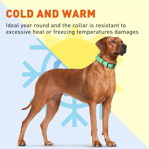 Dogline Biothane Waterproof Dog Collar Strong Coated Nylon Webbing with Black Hardware Odor- Proof for Easy Care Easy to Clean High Performance Fits Small Medium or Large Dogs, Sea Foam Green