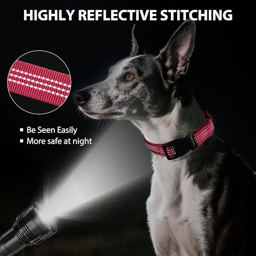 Martingale Dog Collar Quick Release Buckle No Pull Reflective Non-Slip for Medium Large Dogs Training (Wine Red, Large) - color: Wine Red, size: Large (Pack of 1)