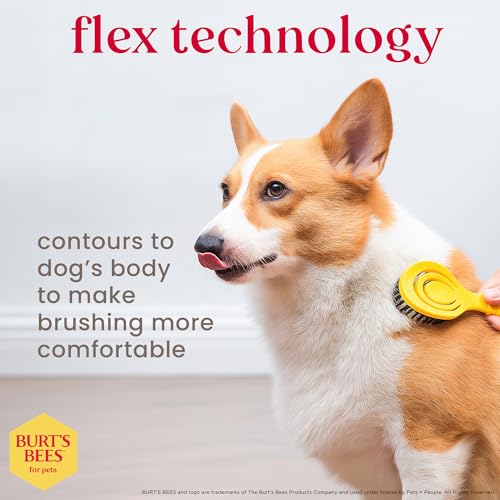 Burt's Bees for Pets Small Bristle Brush with Natural Boar’s Hair & Nylon | Handle Made from Recycled Plastics Collected from Coastal Communities | De-Shedding Eco Friendly Dog Grooming Brush - color: Plastic Bristle Brush, size: 7 Inch