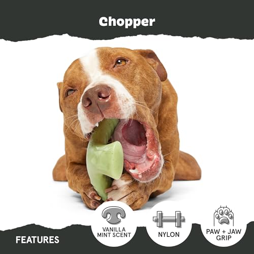 Barkbox Super Chewer Tough Dog Chew Toys for Aggressive Chewers, Dental Stimulating (Chopper - Large) - color: Chopper - Large, size: Medium/Large
