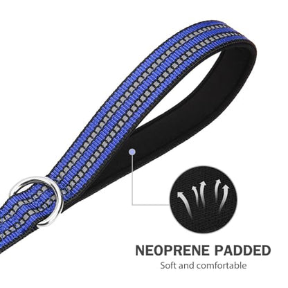Hikiko Heavy Duty Dog Leash Strong Two Padded Soft Handles Dog Leash for Medium and Large Dogs (Blue,4FT) - color: Blue, size: 1 in x 4 ft