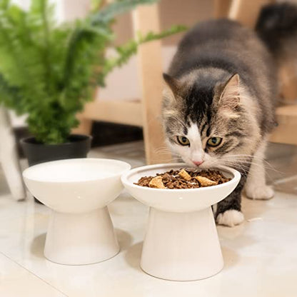 CEEFU 2 Elevated Ceramic Cat Bowls Extra Wide for Food & Water – Whisker Fatigue Shallow Food Dish, Lead & Cadmium-Free, Raised Height for Cats and Dogs, White - color: White