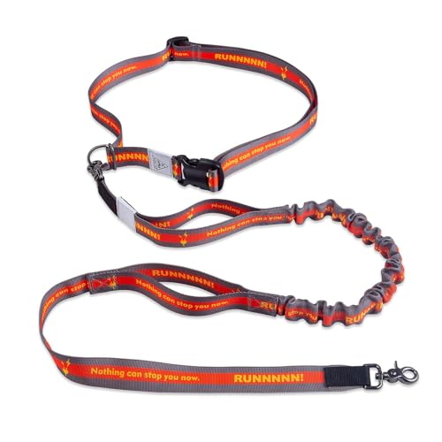 Hands Free Dog Leash with Waist Belt Lifetime Replacement, Dual Handle Bungee Leash for Running, Jogging, Hiking and Walking, for Medium and Large Dogs 5518 - color: Orange