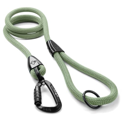 MADE TO ROAM Premium Explorer Leash - Climbing Rope Leash with Autolocking Aviation Aluminum Carabiner - Washington Rain, 4ft - color: Washington Rain, size: 4 Feet
