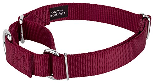 Country Brook Petz - Burgundy Martingale Heavyduty Nylon Dog Collar and Double Handle Leash (3/4 Inch, Small) - color: Burgundy, size: Small (Pack of 1)