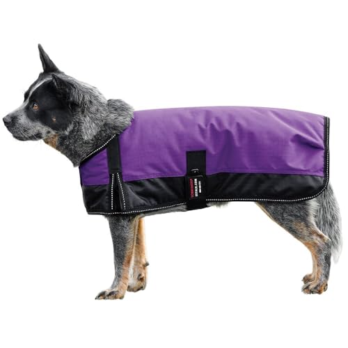 Schneiders Waterproof Reflective Dog Coat II | 600D Polyester Waterproof | Reflective Threading | Soft Nylon Lining | Closed Front and Bellyband Closure | Color Purple | Size Small/Medium - color: Purple, size: Small/Medium