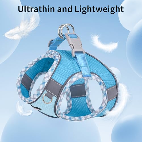AIITLE Teacup Puppy Harness with Leash - Adjustable Soft Vest with Magic Tape & Reflective Safety Strips, Easy-Put-On for Poodles, Pomeranians - Gym, Hiking, Travel (Blue, S) - color: Blue, size: S(Chest: 13.5 - 15")