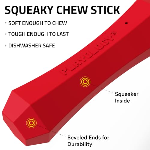 Playology Dog Toys | Squeaky Chew Stick for Large Dogs | Beef Scented Jumbo Fetch Toy | Squeaky Dog Chew Toy - size: Jumbo, style: Beef