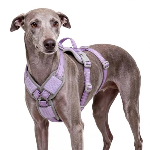 ThinkPet Flexfit 3-Strap Escape Proof Dog Harness, No Pull Front Clip 2-in-1 Vest with Control Handle, 360° Reflective Breathable Adjustable Harness for Greyhound Whippet Vizsla, Large, Purple - color: Purple, size: Large