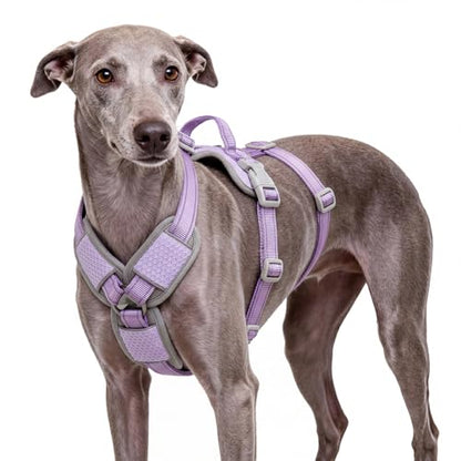 ThinkPet Flexfit 3-Strap Escape Proof Dog Harness, No Pull Front Clip 2-in-1 Vest with Control Handle, 360° Reflective Breathable Adjustable Harness for Greyhound Whippet Vizsla, Medium, Purple - color: Purple, size: Medium