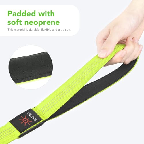 Colaseeme LED Light Up Dog Leash, USB Rechargeable (4FT,Green-New) | Glow in dark, reflective, USB-C rechargeable, bright LED for night safety, fits small to large dogs - color: Green (New), size: 4FT