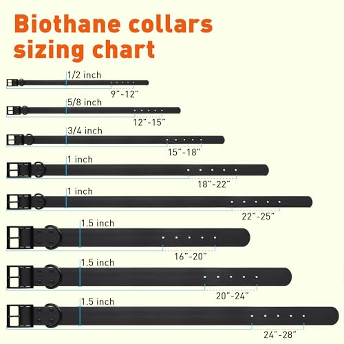 Dogline Biothane Waterproof Dog Collar Strong Coated Nylon Webbing with Black Hardware Odor- Proof for Easy Care Easy to Clean High Performance Fits Small Medium or Large Dogs, Black