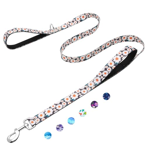 6ft Dog Leash with Two Padded Handles, Heavy Duty Strong Nylon Pet Leash with Soft Neoprene Handle for Small Medium Large Dogs, Daisy - color: Daisy, size: 1 in x 6 ft