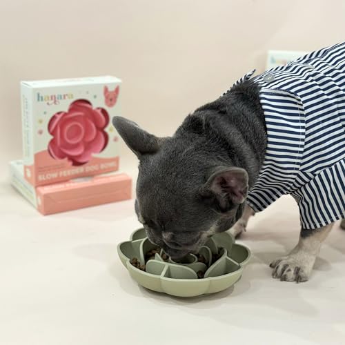 Hanara Sillicone Slow Feeder Dog Bowls & Lick Mat with Suction Bottom | Rose Petals Design | Promotes Better Digestion, Prevent Choking | Dish Washer Safe | Great Size for All Breed (Misty Gray) - color: Misty Gray