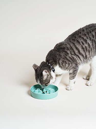 Ceramic Slow Feeder Dog Bowls Small Breed, 0.5 Cups Dog Food Dish for Fast Eaters, Puzzle Bowl for Small Dogs and Cats, 5.5 Inch-Turquoise - color: Turquoise