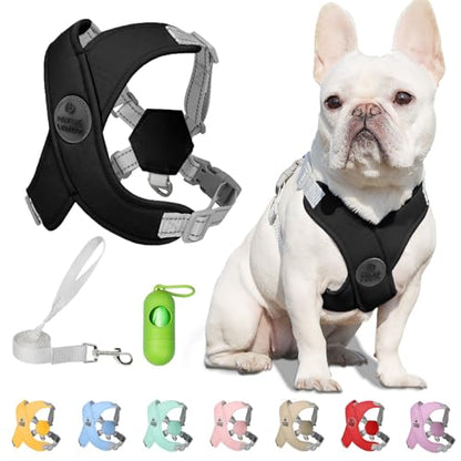 Patas Lague Dog Harness with Leash Set Adjustable Soft Padded Step-in Dog Vest No Choke No Pull Reflective for Small Pets with Poop Bags and Dispenser, Solid and No-chew, Black XS - color: Black, size: XS (Neck 16-19.1'' Chest 18.8-21.5'')