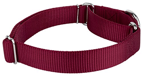 Country Brook Petz - Burgundy Martingale Heavyduty Nylon Dog Collar and Double Handle Leash (1 Inch, Large) - color: Burgundy, size: Large (Pack of 1)