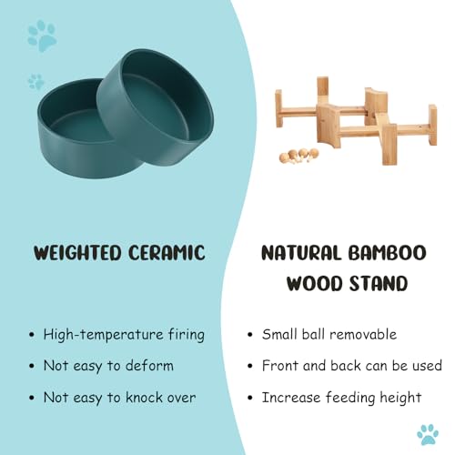 SPUNKYJUNKY 15° Slanted Ceramic Dog and Cat Bowl with Wooden Stand, Tilted Bulldog Food and Water Bowl No Slip Non-Spill for Cats Medium Dogs Big Face Pets 13.5 OZ (1.7 Cups, Green × 2) - color: Green, size: 1.7 CUPS × 2