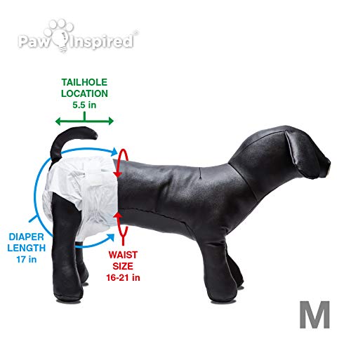 Paw Inspired Disposable Dog Diapers | Female Dog Diapers Ultra Protection | Diapers for Dogs in Heat, Excitable Urination, or Incontinence (144 Count, Medium) - size: Medium