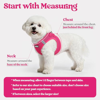 rabbitgoo Dog Harness Small Sized and Leash Set, Step in Soft Light Puppy Vest, Breathable Mesh Pet Harness, Reflective for Safe Easy Walking, Rosa Red XXXS - color: Rose Red, size: Xxxs (chest: 10.8 - 11.8")