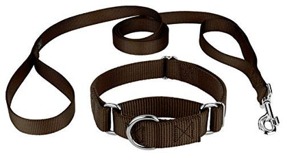 Country Brook Petz - Brown Martingale Heavyduty Nylon Dog Collar and Double Handle Leash (1 Inch, Extra Large) - color: Brown, size: Extra Large (Pack of 1)