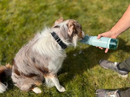 Stainless Steel Dog Travel Water Bottle, Vacuum Insulated Portable Dog Water Dispenser, Large Bottle with Drink Cup On The Go, Outdoor Walking, Hiking, Travel (Mint, 22oz) - color: Mint