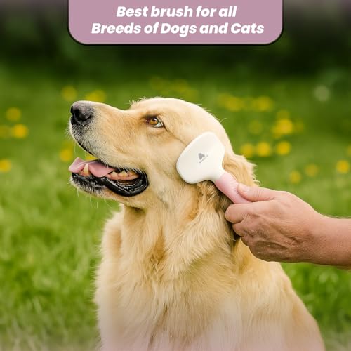 Small Slicker Brush for Grooming - Slicker Brush for Dogs and Cats can act as Deshedding Pet Tool for Healthy Coat Maintenance and Suitable for Short and long Haired Dogs - size: Small Poodle