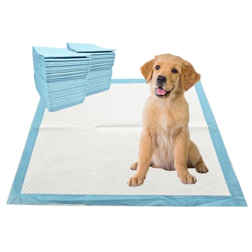 Puppy Pee Pads, 22 x 22 Inch Leak-Proof Pet Potty Training Pads for Dogs, Quick Absorb 6-Layer Design, Ideal for Small Puppies, Cats, Kittens, Rabbits, and Guinea Pigs (Blue-100 Count) - size: Blue-100 Count