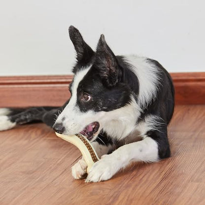 Dog Chew Toys for Aggressive Chewers, 4 Pack Beef Flavor Tough Dog Bones for Large/Medium Breed Dogs, Nylon Pet Teething Toys - size: Large (4-Pack)