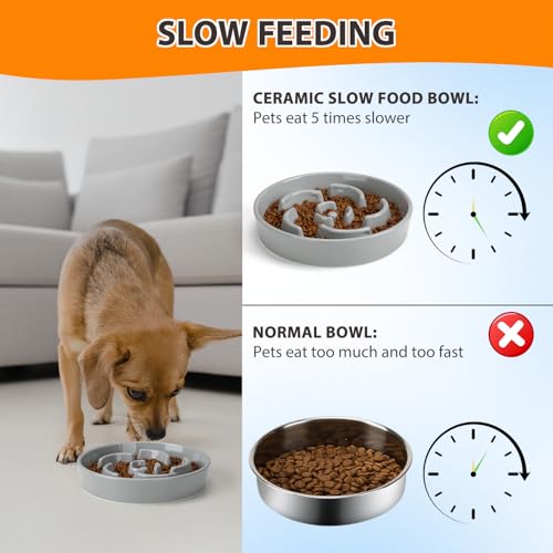 Slow Feeder Dog Bowl, Ceramic 2 Cups Dog Food Bowls for Small, Medium, and Large Breed, Anti-Slip Maze Puzzle Food Dish to Slow Down Eating (Grey, 2 Cups) - color: Flower - Grey