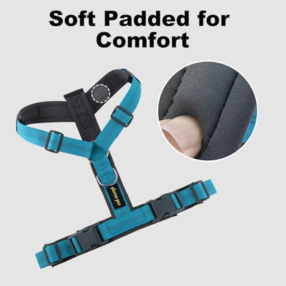 Plutus Pet No Pull Dog Harness, Adjustable Nylon Harness with Soft Padding, Reflective and Heavy Duty Dog Harness for Small, Medium, Large Dogs(Cyan, M) - color: Cyan, size: M