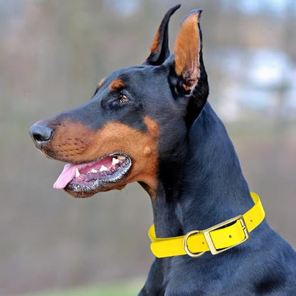 Viper Biothane Heavy Duty Waterproof Dog Collar Strong Coated Nylon Webbing w/Solid Brass Hardware Odor-Proof for Easy Care to Clean High Performance Fits Small Medium or Large Dogs, Lemon Yellow