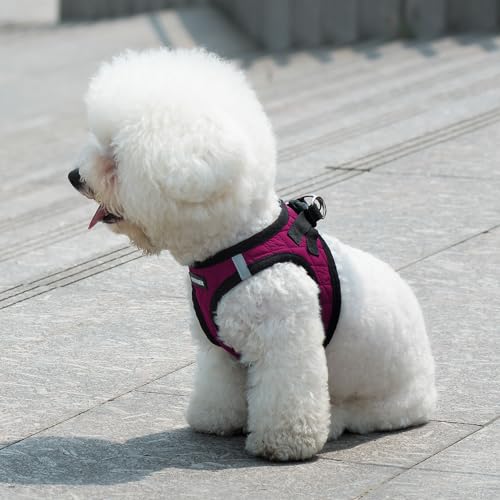 Best Pet Supplies - All Weather Mesh / Plush, Reflective, No Pull Harness for Small, Medium Dogs, Cats - Secure with Hook & Loop Fastener, Buckle, Double D-Rings - Red Rose Plush, XS - color: Red Rose Plush, size: XS (Chest: 13 - 14.5")