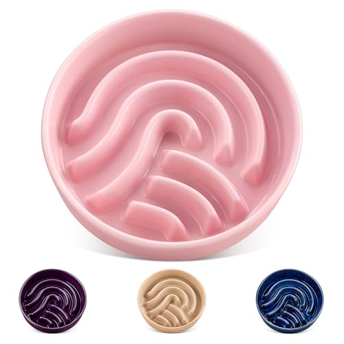 vancasso Slow Feeder Dog Bowl, 1.5 Cup Ceramic Slow Feeding Food Dish for Small and Medium Breed, Puzzle Dog Food Bowl for Fast Eater, Pink - color: Pink, size: M - 1.5 Cups