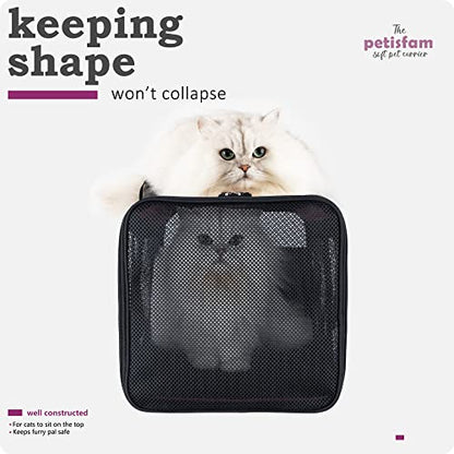 Soft Pet Carrier for Large and Medium Cats, 2 Kitties, Small Dogs. Easy to Get Cat in, Great for Cats that Don't Like Carriers (Viva Magenta) - color: Viva Magenta