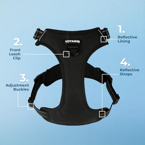 Voyager Dog Harness Dual Leash Attachment No-Pull Control Adjustable Soft but Strong Pet Harness for Medium and Large Dogs with 3M Reflective Technology, Leash Set Black Nylon, M (Chest: 20-25") - color: Leash Set Black Nylon, size: M (Chest: 20 - 25")