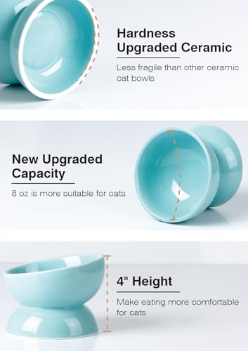 ABRUTY Cat Water Bowl, 16 OZ Ceramic Elevated Cat Bowls, 15° Tilted and Raised Pet Food Dish, Anti Vomiting Protect Pets' Spines and Whisker Fatigue, Set of 2, Turquoise - color: Turquoise, size: 2 Pack