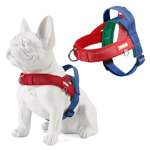 Soft Dog Harness Small Sized Dog, No-Pull Breathable Mesh Padded Vest - Escape Proof Quick Fit Lightweight Harness with Front Clip - Easy Walking Adjustable Vest Harness for Small Dogs, Red, S - color: Red, size: Small