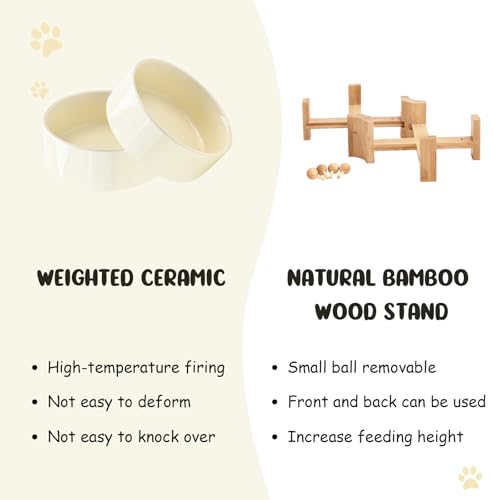 SPUNKYJUNKY 15° Slanted Ceramic Dog and Cat Bowl with Wooden Stand, Tilted Bulldog Food and Water Bowl No Slip Non-Spill for Cats Medium Dogs Big Face Pets 28.7 OZ (3.6 Cups, Beige × 2) - color: Beige, size: 3.6 CUPS × 2