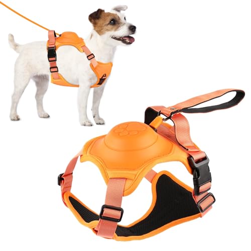3-in-1 Dog Harness with Built-in Leash, Comfortable Dog Walking Harness with Extendable Lead, Heavy Duty Dog Harness for Large Dogs, Auto-Lock & Tug Control (Orange-M)