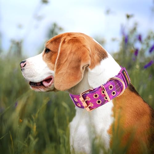 Heavy Duty Tactical Dog Collar with Neoprene Padded and Metal Buckle, Reflective Nylon for Medium to Large Dogs(Purple Camo, Large) - color: Purple Camo, size: Large (Pack of 1)