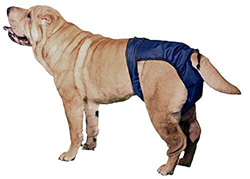 SnuggEase Washable Protective Pants Diapers for Dogs & Cats (2 pack), Medium - size: Medium, style: Two pack