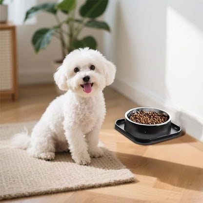 Stainless Steel Dog Bowls, Spill Proof Basic Dogs Bowls for Small Dogs Cats, 2 Cup Dog Food and Water Bowl, Non-Slip Puppy Feeder, Cat Bowl for Feeding Water - Starry Gray - size: Single