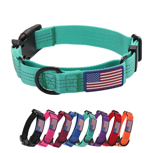 Martingale Dog Collar Quick Release Buckle No Pull Reflective Non-Slip for Medium Large Dogs Training (Teal, Large) - color: Teal, size: Large (Pack of 1)