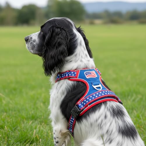 Large Dog Harness No Pull, Heavy Duty Tactical Harness for Pet Labrador, Pitbull, 3 Buckles Easy On Doggie Vest with Sturdy Handle, Front Clip Training Harness for Boy Girl Puppy Walking (L) - size: Large