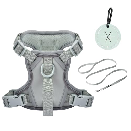 Petmolico No Pull Cute Dog Harness for Small Dogs, with Two Leash Clips and Soft Handle, Reflective Easy Walk Dog Harness- Light Green,Small - color: Light Green, size: Small