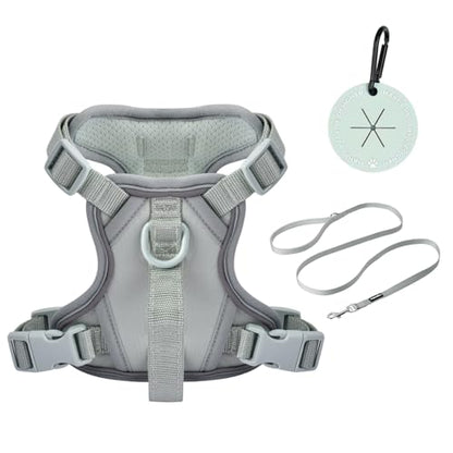 Petmolico No Pull Cute Dog Harness for Small Dogs, with Two Leash Clips and Soft Handle, Reflective Easy Walk Dog Harness- Light Green,Small - color: Light Green, size: Small