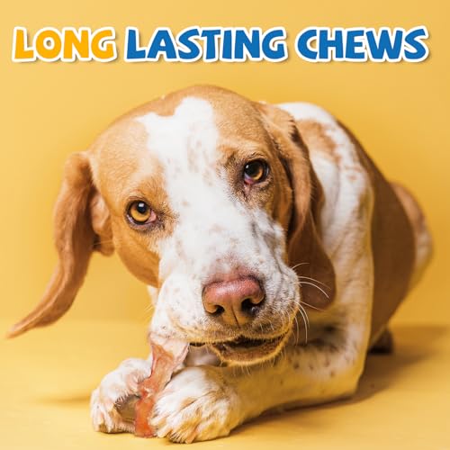 gazeupon Dog Treats, Deer's Hoof Tendon, Dog Chews Long Lasting, Natural Training Rewards - size: 4.6 Ounce (Pack of 1)