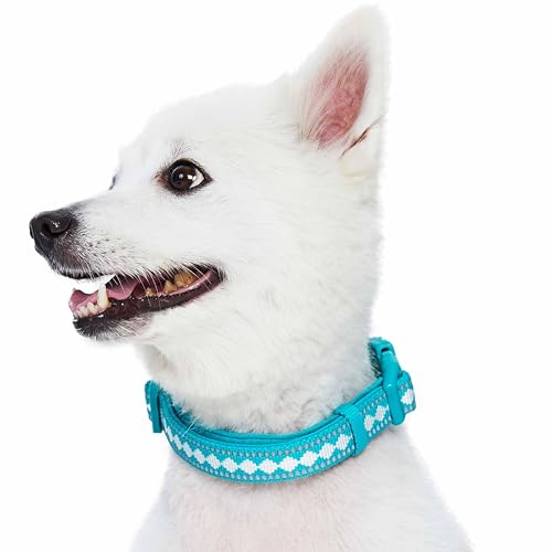 Blueberry Pet 3 Colors 3M Reflective Jacquard Neoprene Padded Adjustable Dog Collar, Peacock - color: Polyester Buckle- Peacock, size: Small