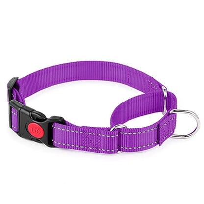 Martingale Collar for Dogs with Buckle,Purple S - color: Purple, size: S(Neck 10-13.5")